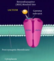 J Skin Stem Cell
